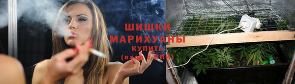 PSILOCYBIN Белокуриха