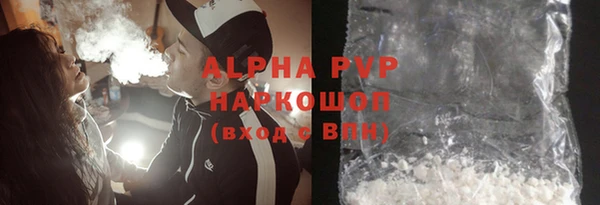 PSILOCYBIN Белокуриха