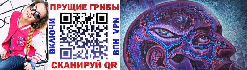 Псилоцибиновые грибы Psilocybine cubensis darknet формула Няндома дарнет шоп mega tor